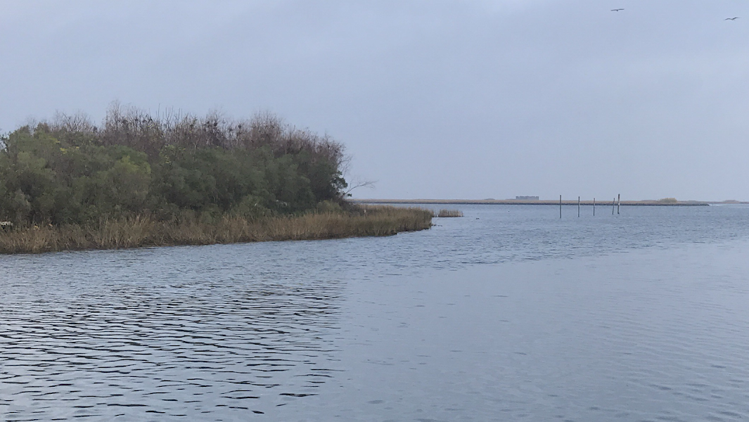 Campo's Marina