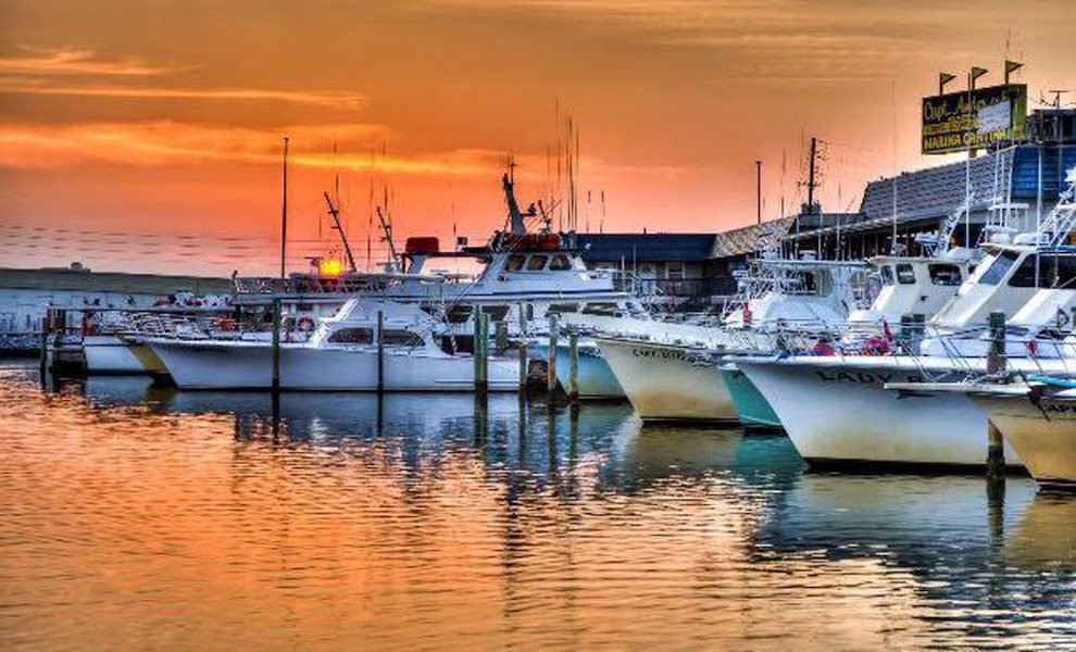 Capt. Anderson's Marina