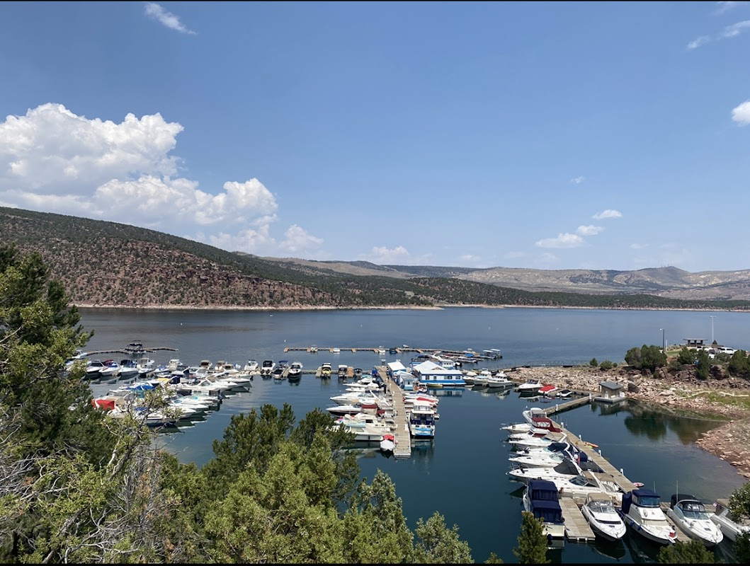 Cedar Springs Marina